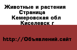  Животные и растения - Страница 10 . Кемеровская обл.,Киселевск г.